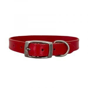 Red leather dog collar with beautiful soft suede lining